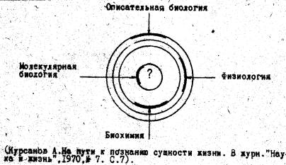 схема системы биологических наук