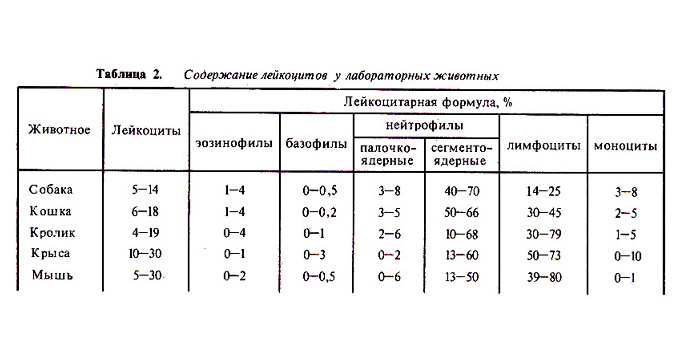 Количество лейкоцитов. Лейкоцитарная формула крови норма у животных. Лейкоцитарная формула у животных норма. Лейкоцитарная формула собаки. Лейкоцитарная формула КРС норма.