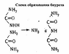 Схема образования биурета из яичного белка