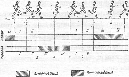 Интервальный бег схема